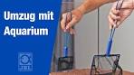 aquarium umziehen