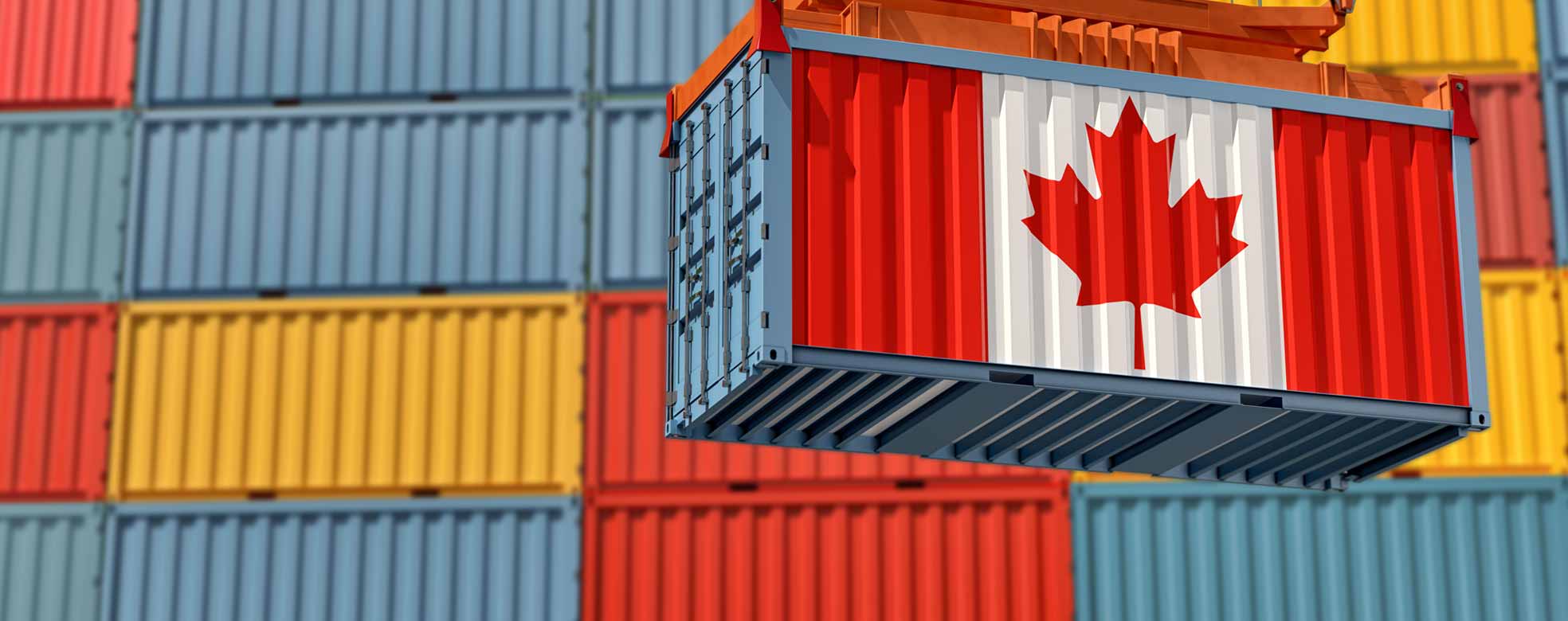 container umzug kosten