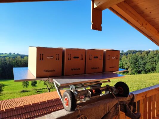 die besten umzugsunternehmen