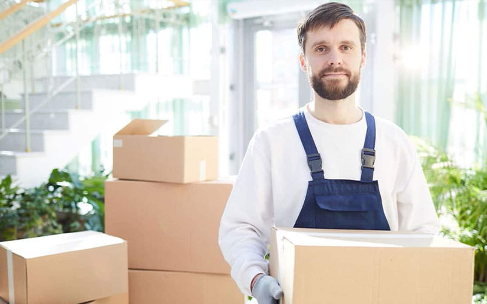 professioneller umzug