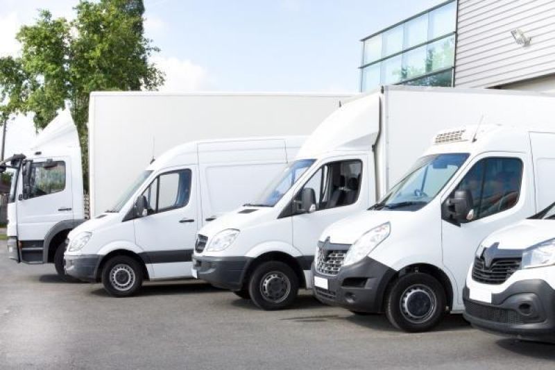 bewernick möbeltransporte